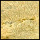 View image taken on Mars, Mars Perseverance Sol 1527: Left Mastcam-Z Camera
