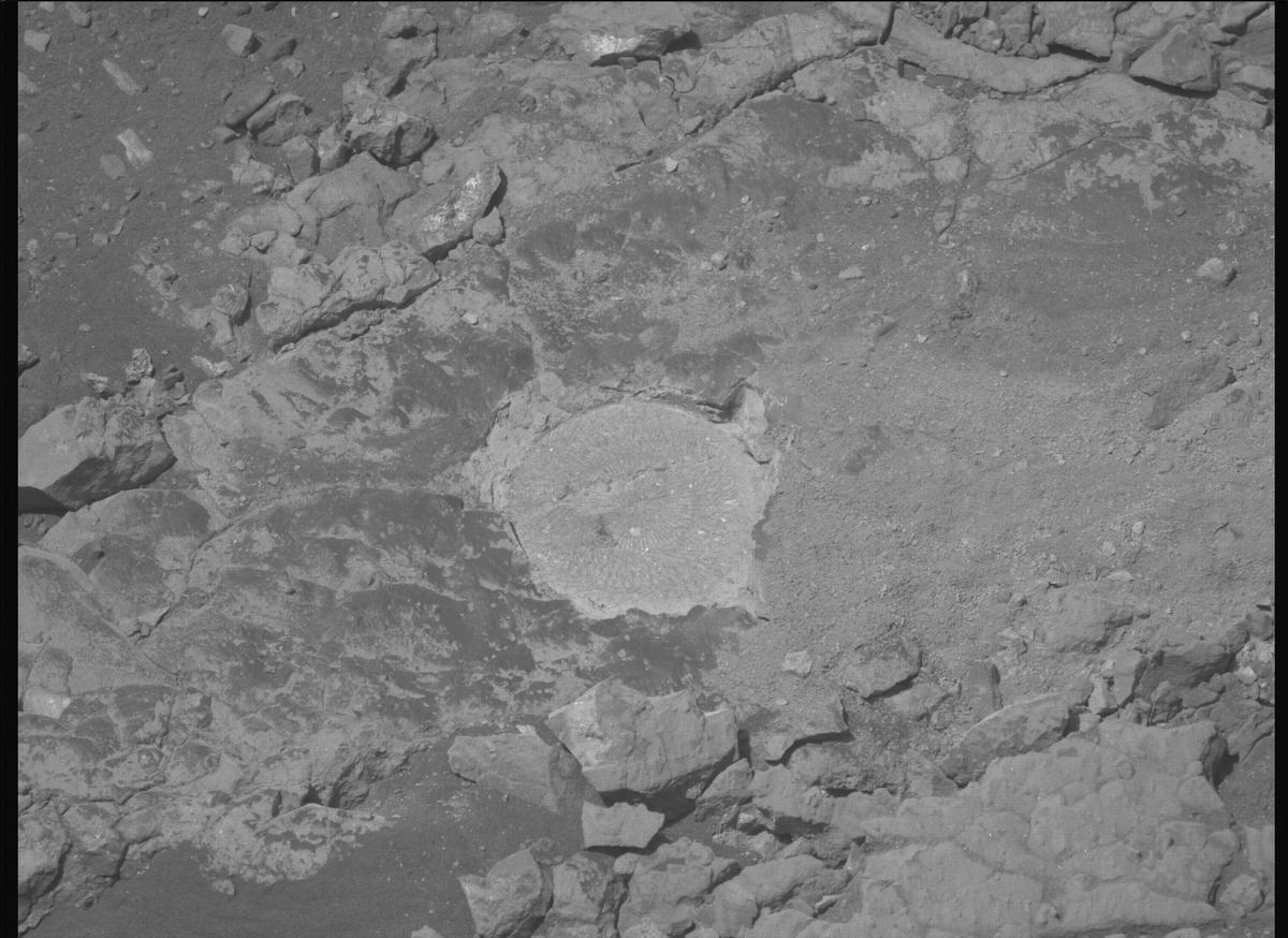 This image was taken by MCZ_LEFT onboard NASA's Mars rover Perseverance on Sol 1527