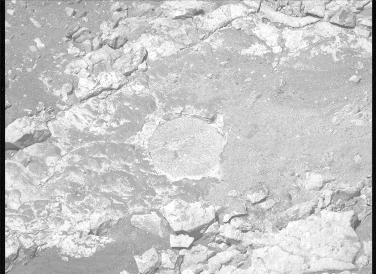 This image was taken by MCZ_LEFT onboard NASA's Mars rover Perseverance on Sol 1527