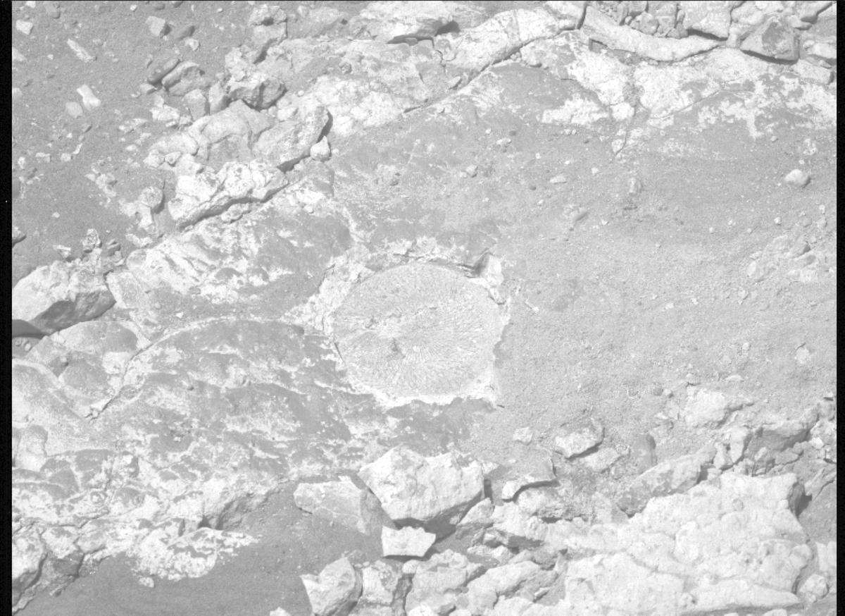 This image was taken by MCZ_LEFT onboard NASA's Mars rover Perseverance on Sol 1527