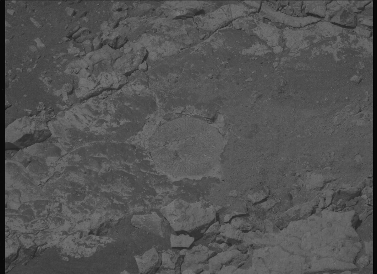 This image was taken by MCZ_LEFT onboard NASA's Mars rover Perseverance on Sol 1527