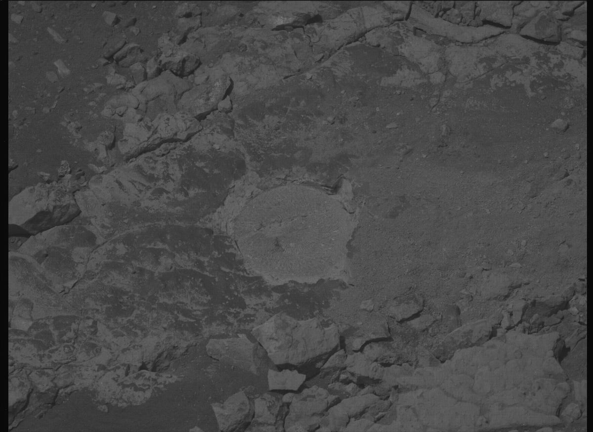 This image was taken by MCZ_LEFT onboard NASA's Mars rover Perseverance on Sol 1527