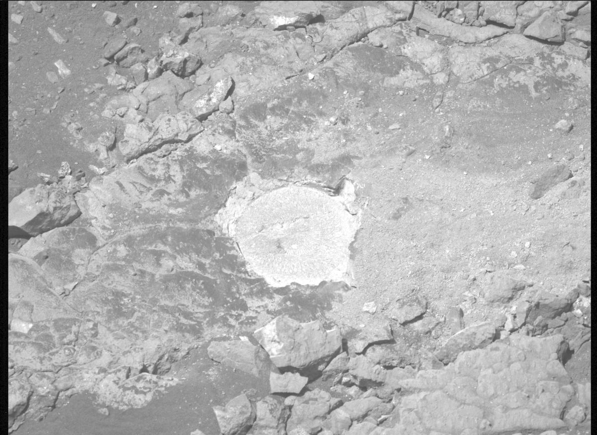 This image was taken by MCZ_LEFT onboard NASA's Mars rover Perseverance on Sol 1527