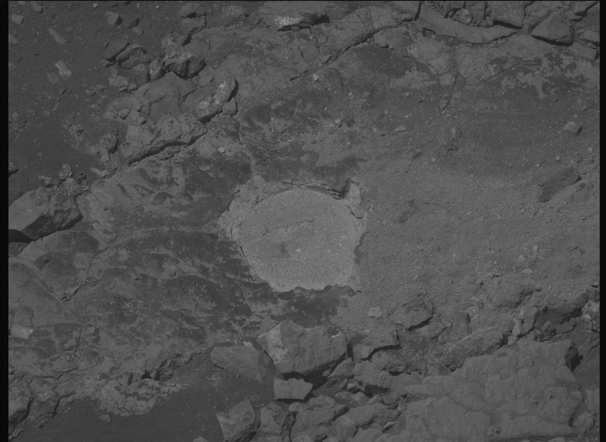 This image was taken by MCZ_LEFT onboard NASA's Mars rover Perseverance on Sol 1527