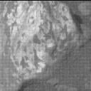 This image was taken by MCZ_RIGHT onboard NASA's Mars rover Perseverance on Sol 1527