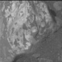 View image taken on Mars, Mars Perseverance Sol 1527: Right Mastcam-Z Camera
