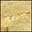 This image was taken by MCZ_RIGHT onboard NASA's Mars rover Perseverance on Sol 1527