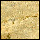 View image taken on Mars, Mars Perseverance Sol 1527: Right Mastcam-Z Camera