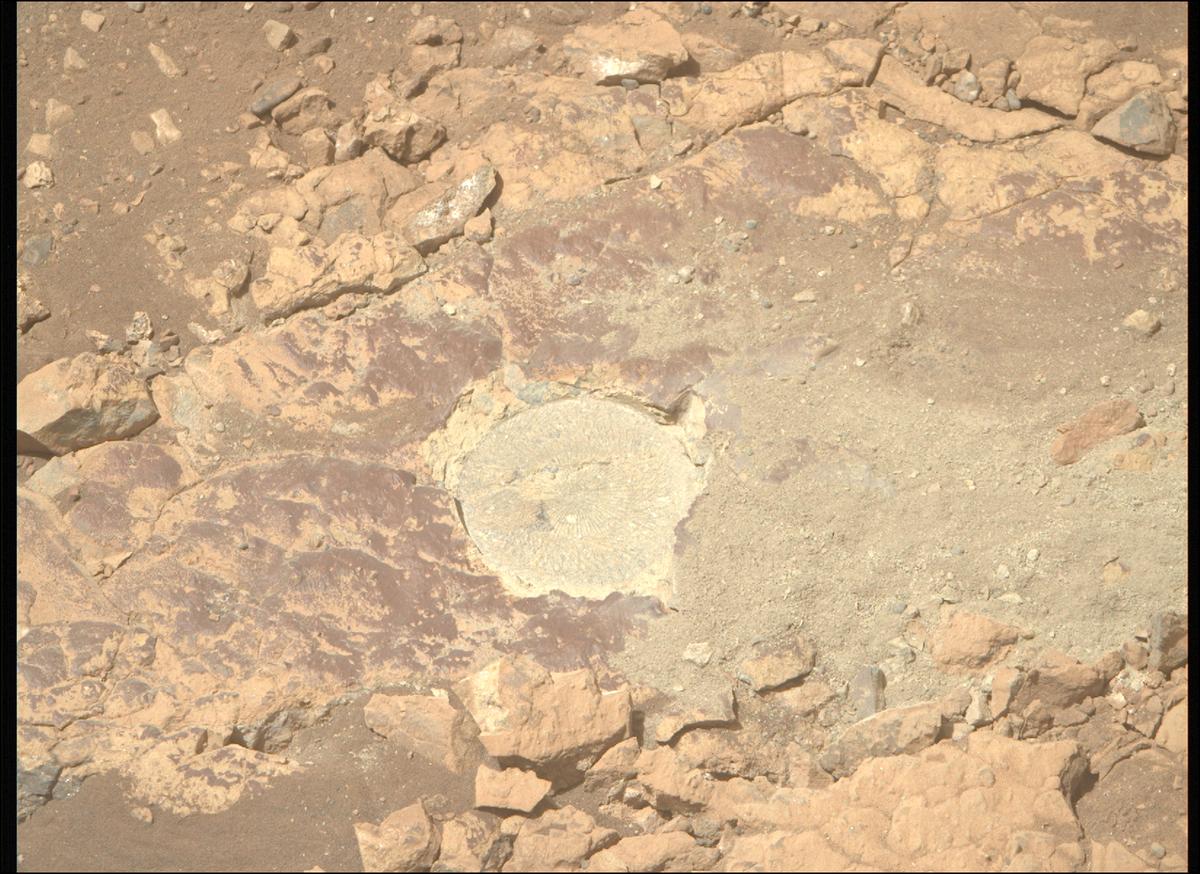 This image was taken by MCZ_RIGHT onboard NASA's Mars rover Perseverance on Sol 1527