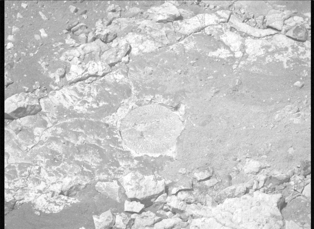 This image was taken by MCZ_RIGHT onboard NASA's Mars rover Perseverance on Sol 1527