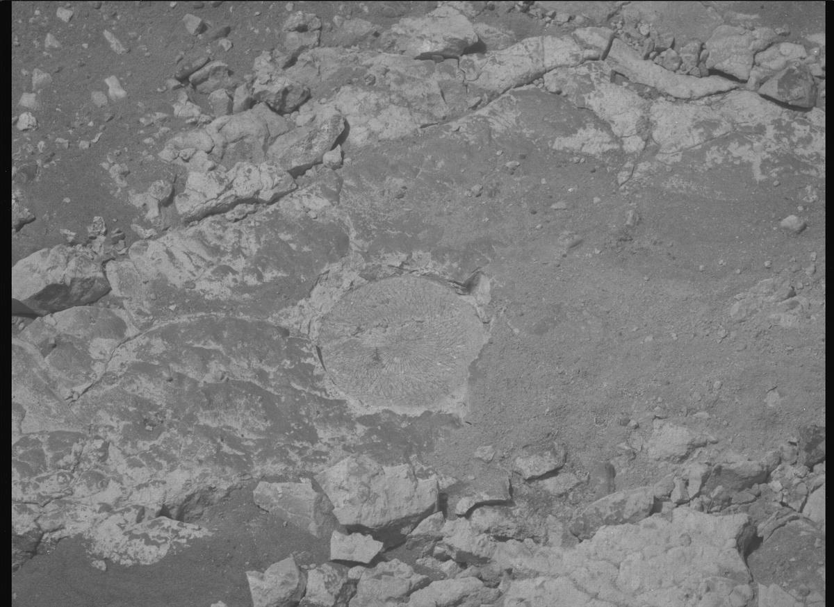 This image was taken by MCZ_RIGHT onboard NASA's Mars rover Perseverance on Sol 1527