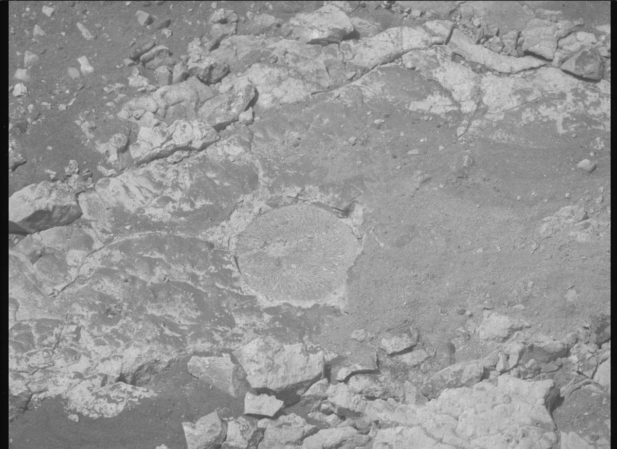This image was taken by MCZ_RIGHT onboard NASA's Mars rover Perseverance on Sol 1527