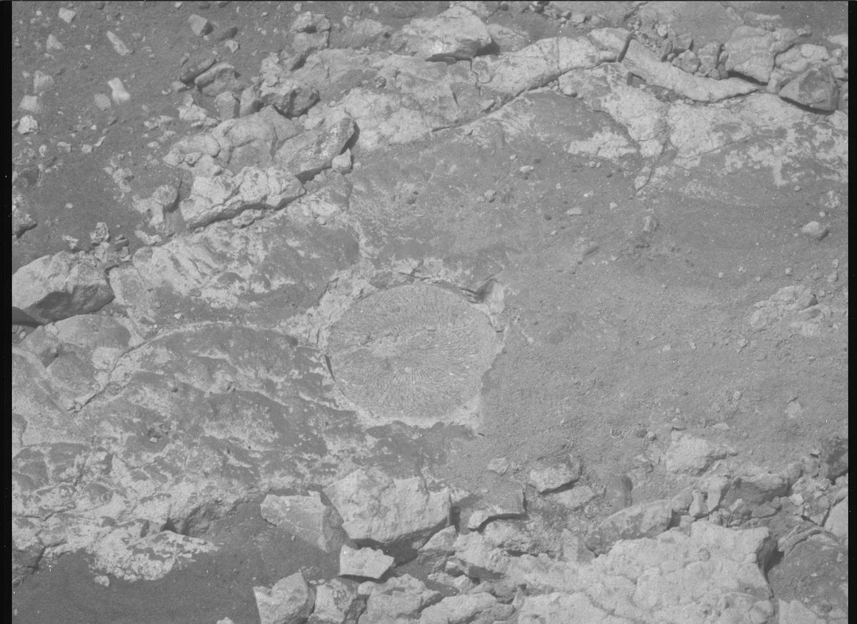 This image was taken by MCZ_RIGHT onboard NASA's Mars rover Perseverance on Sol 1527