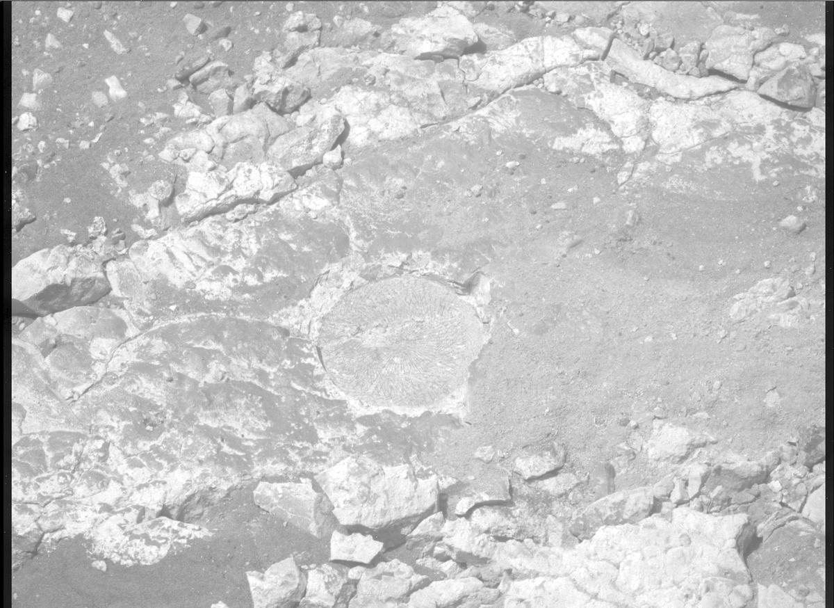 This image was taken by MCZ_RIGHT onboard NASA's Mars rover Perseverance on Sol 1527
