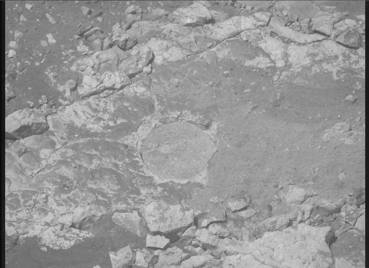 This image was taken by MCZ_RIGHT onboard NASA's Mars rover Perseverance on Sol 1527