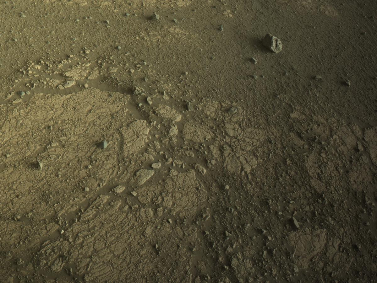 This image was taken by NAVCAM_LEFT onboard NASA's Mars rover Perseverance on Sol 1528