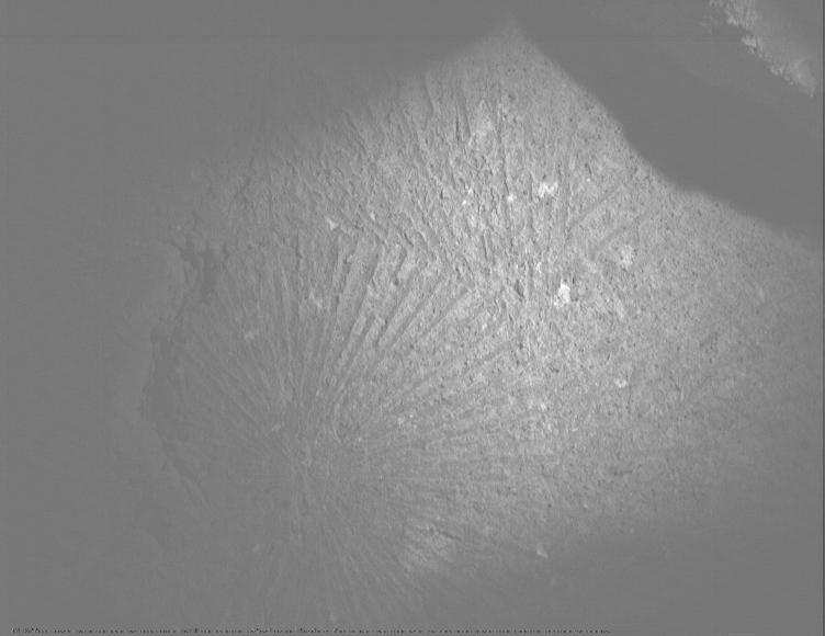 This image was taken by PIXL_MCC onboard NASA's Mars rover Perseverance on Sol 1528