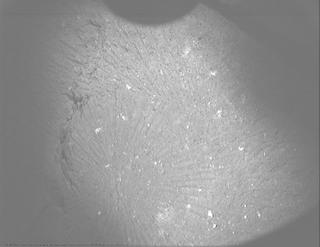 View image taken on Mars, Mars Perseverance Sol 1528: PIXL Camera 