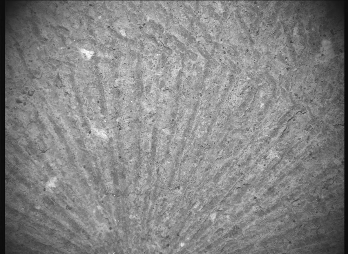 This image was taken by SHERLOC_ACI onboard NASA's Mars rover Perseverance on Sol 1528