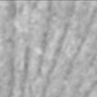 View image taken on Mars, Mars Perseverance Sol 1528: SHERLOC ACI Camera 