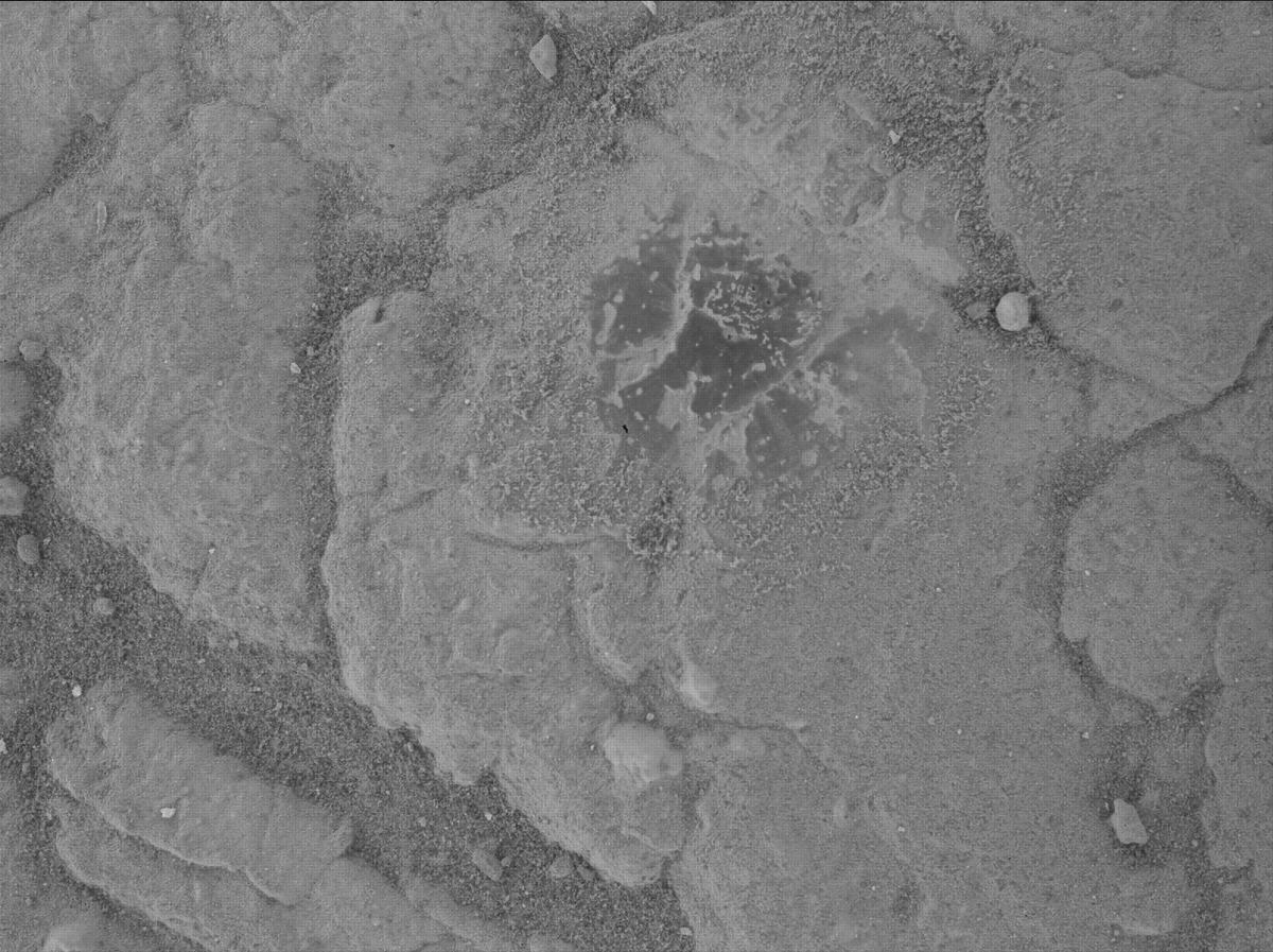 This image was taken by SHERLOC_WATSON onboard NASA's Mars rover Perseverance on Sol 1528