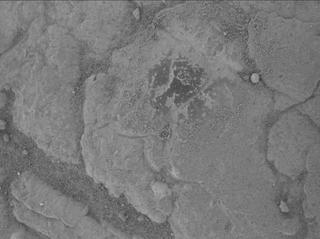 View image taken on Mars, Mars Perseverance Sol 1528: WATSON Camera 