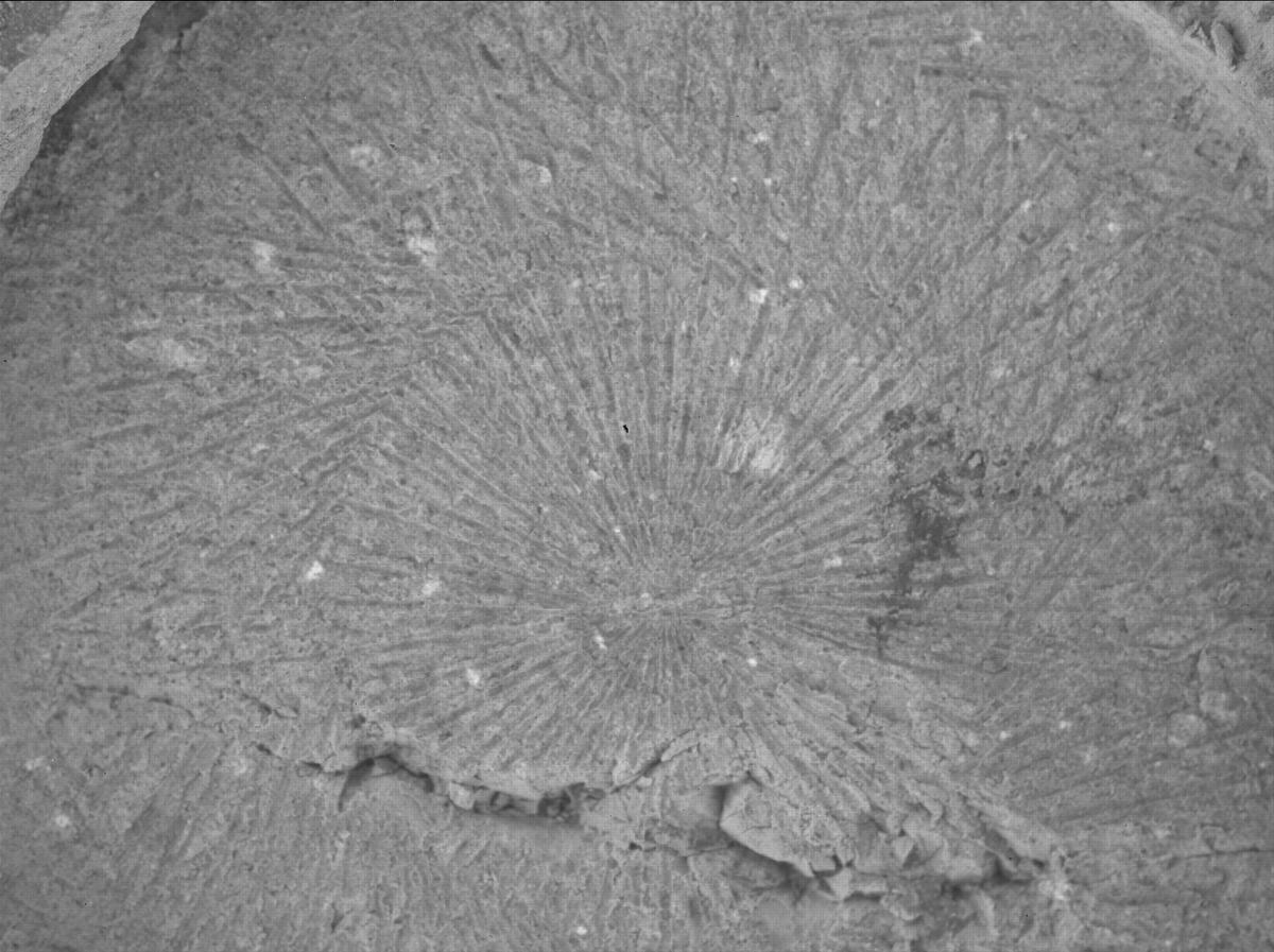 This image was taken by SHERLOC_WATSON onboard NASA's Mars rover Perseverance on Sol 1528