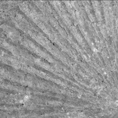 This image was taken by SHERLOC_WATSON onboard NASA's Mars rover Perseverance on Sol 1528