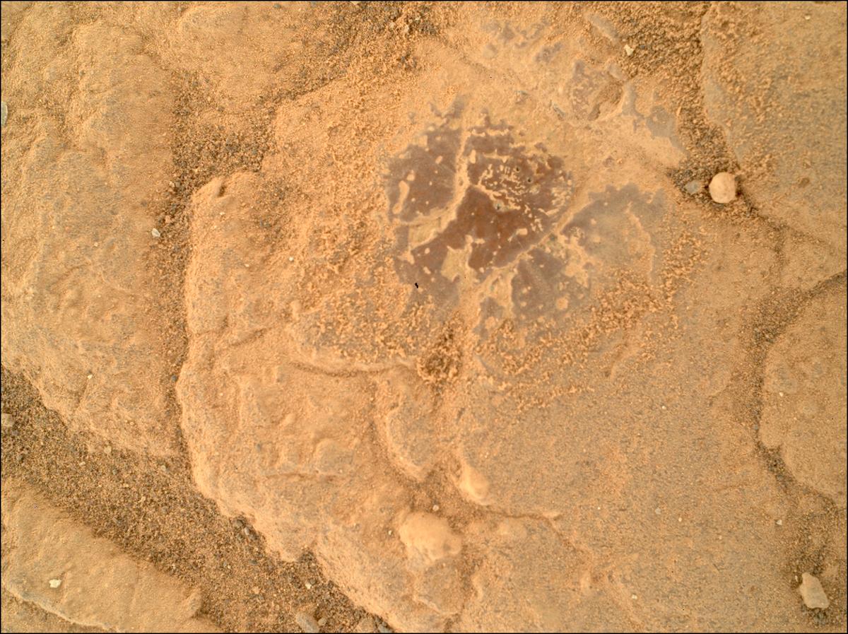 This image was taken by SHERLOC_WATSON onboard NASA's Mars rover Perseverance on Sol 1528