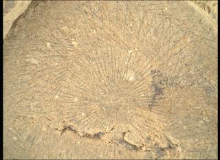 View image taken on Mars, Mars Perseverance Sol 1528: WATSON Camera 