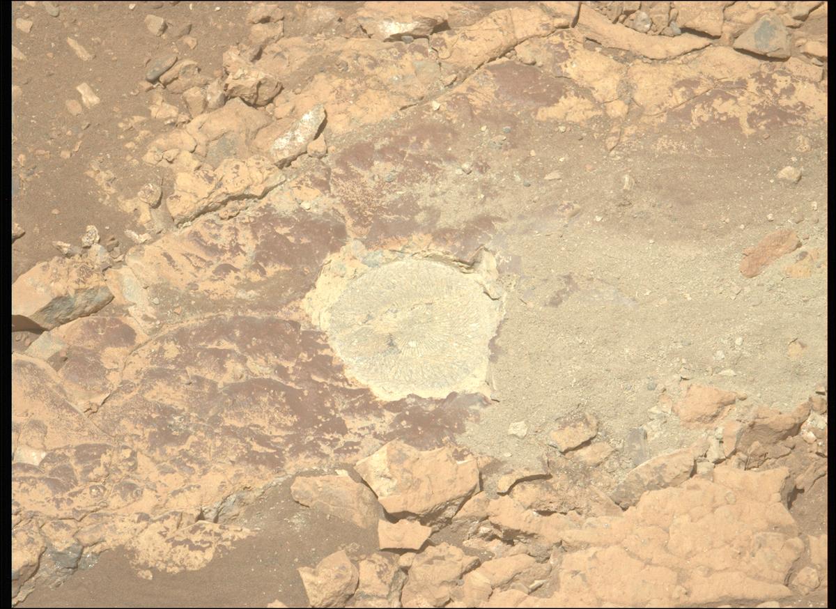 This image was taken by MCZ_LEFT onboard NASA's Mars rover Perseverance on Sol 1529