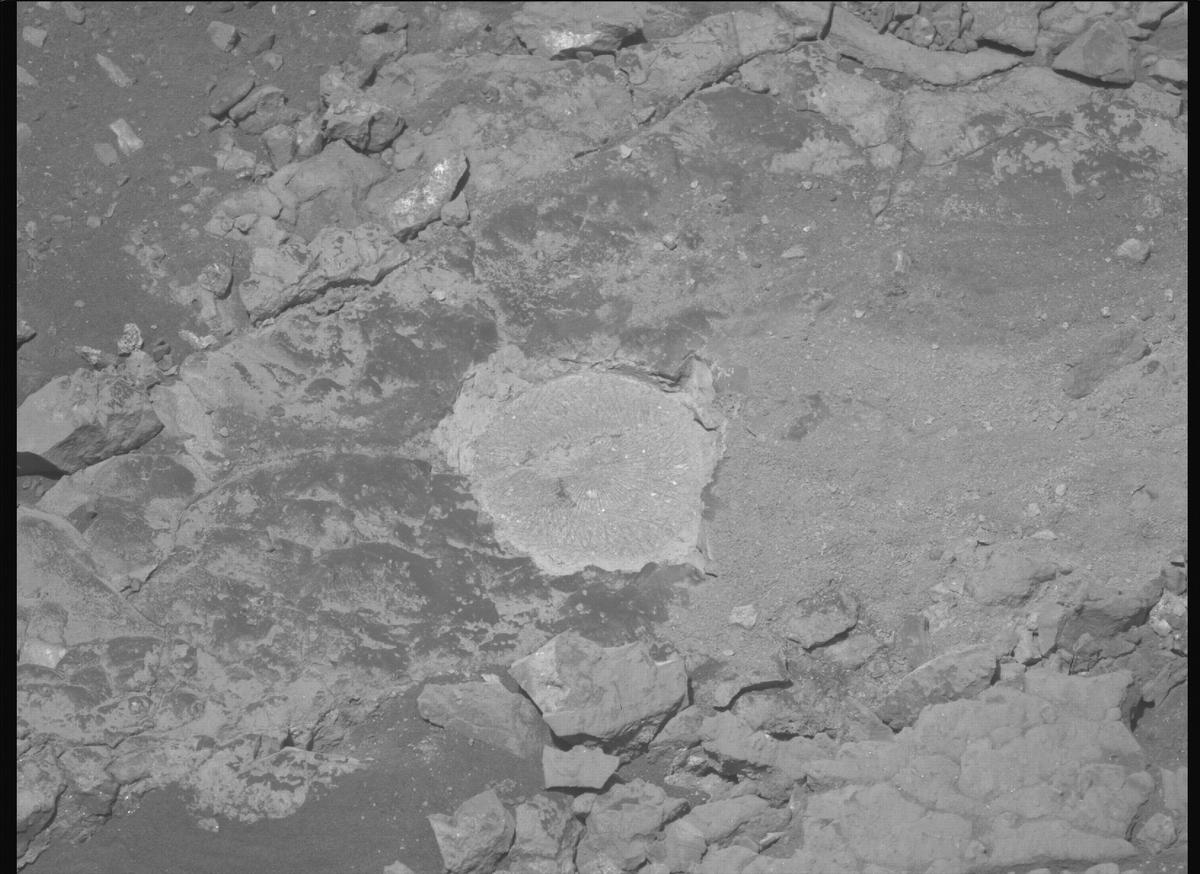 This image was taken by MCZ_LEFT onboard NASA's Mars rover Perseverance on Sol 1529