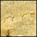 This image was taken by MCZ_RIGHT onboard NASA's Mars rover Perseverance on Sol 1529