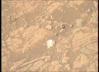 View image taken on Mars, Mars Perseverance Sol 1531: Right Mastcam-Z Camera