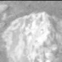 This image was taken by MCZ_RIGHT onboard NASA's Mars rover Perseverance on Sol 1531