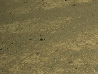 View image taken on Mars, Mars Perseverance Sol 1538: Right Navigation Camera (Navcam)