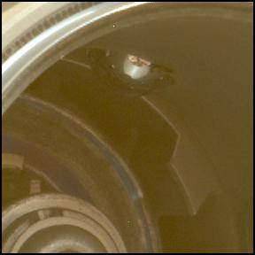 This image was taken by MCZ_LEFT onboard NASA's Mars rover Perseverance on Sol 1538