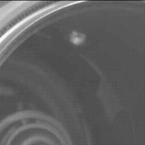 This image was taken by MCZ_LEFT onboard NASA's Mars rover Perseverance on Sol 1538