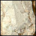 This image was taken by MCZ_LEFT onboard NASA's Mars rover Perseverance on Sol 1539