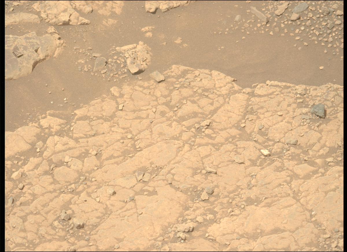 This image was taken by MCZ_LEFT onboard NASA's Mars rover Perseverance on Sol 1539