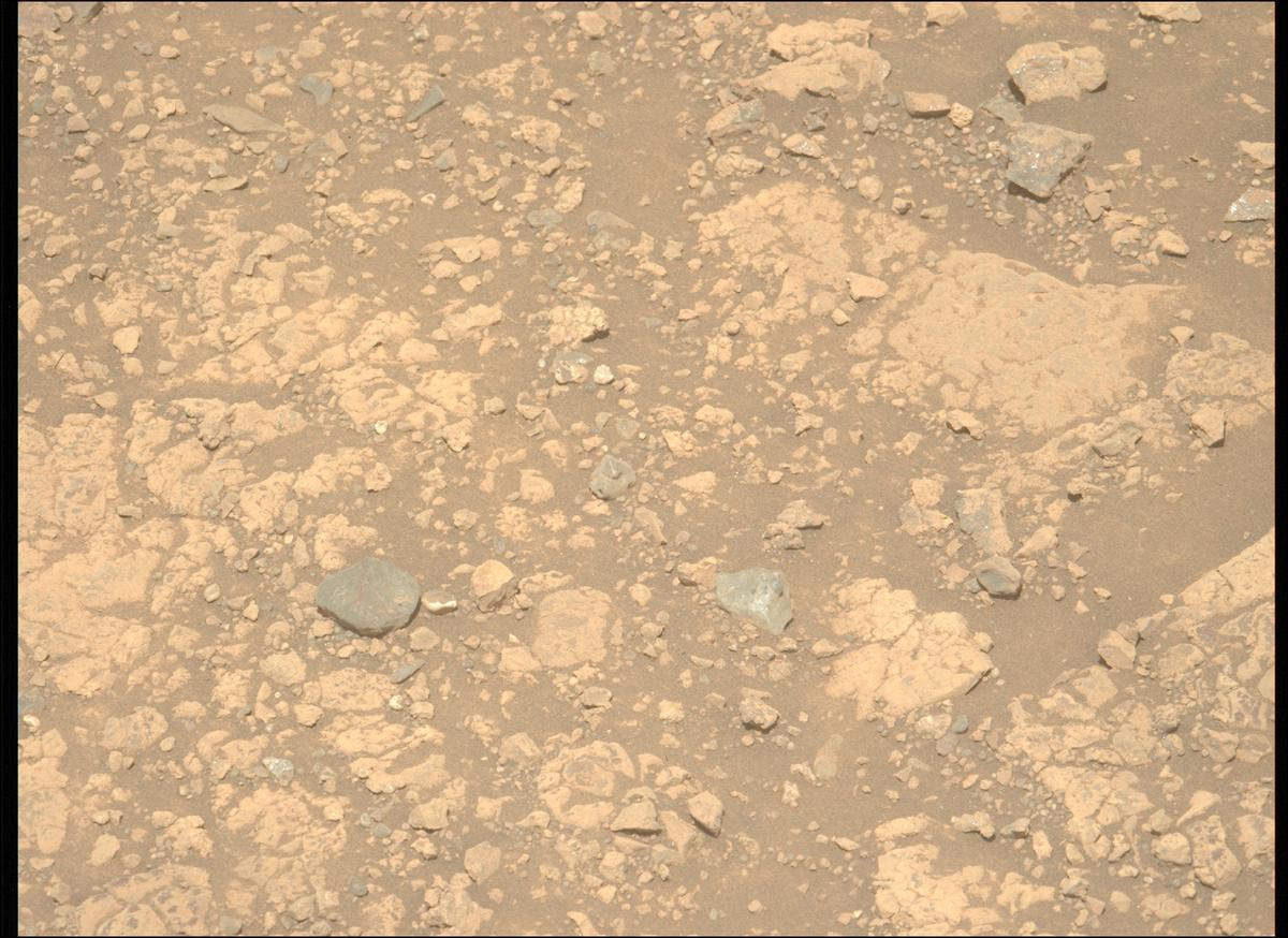 This image was taken by MCZ_LEFT onboard NASA's Mars rover Perseverance on Sol 1539