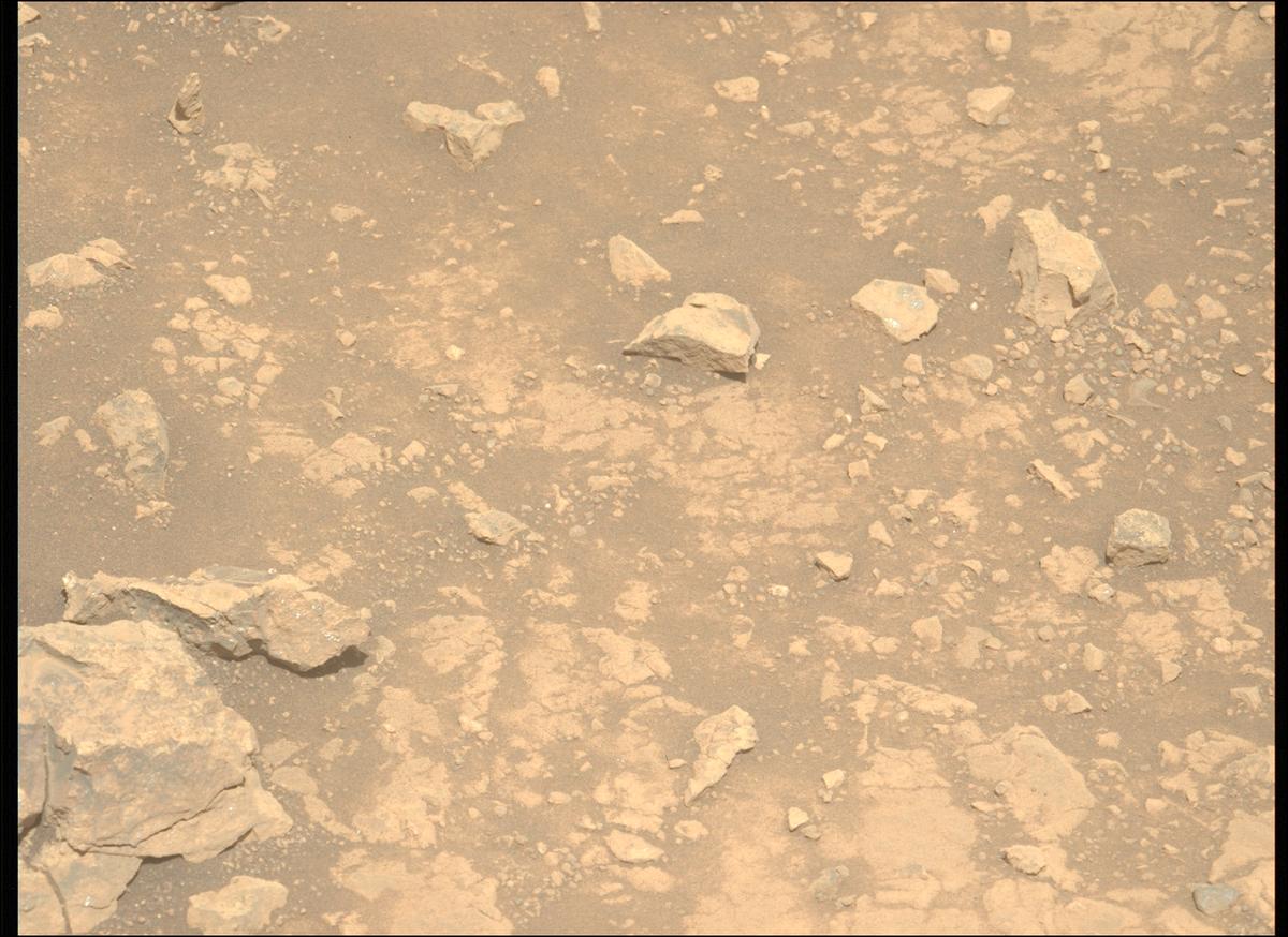 This image was taken by MCZ_LEFT onboard NASA's Mars rover Perseverance on Sol 1539