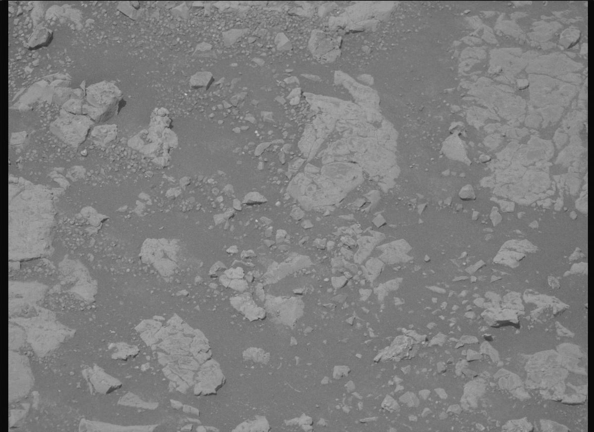 This image was taken by MCZ_LEFT onboard NASA's Mars rover Perseverance on Sol 1539