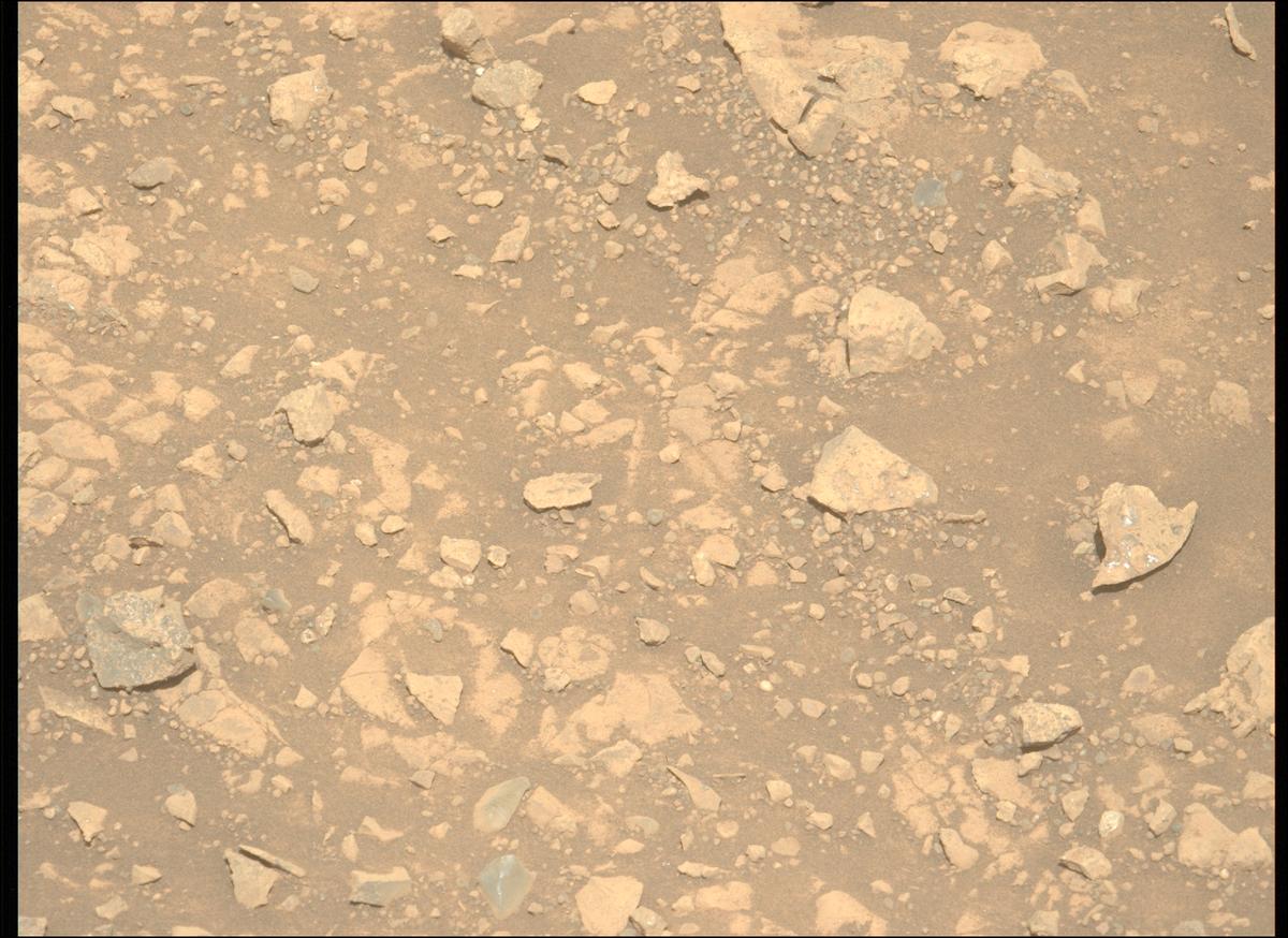 This image was taken by MCZ_LEFT onboard NASA's Mars rover Perseverance on Sol 1539
