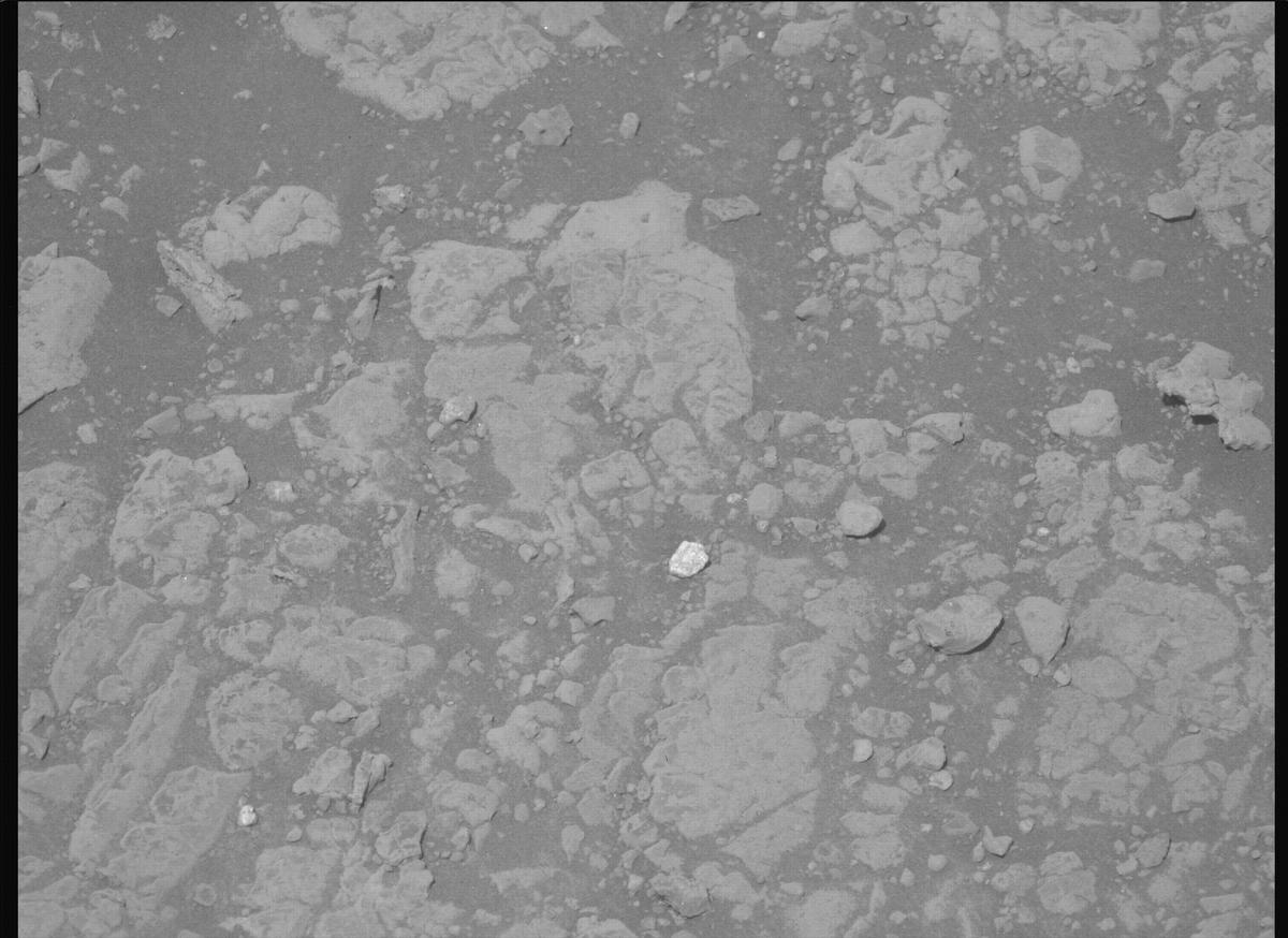 This image was taken by MCZ_LEFT onboard NASA's Mars rover Perseverance on Sol 1539