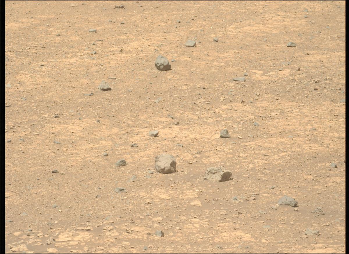 This image was taken by MCZ_LEFT onboard NASA's Mars rover Perseverance on Sol 1539