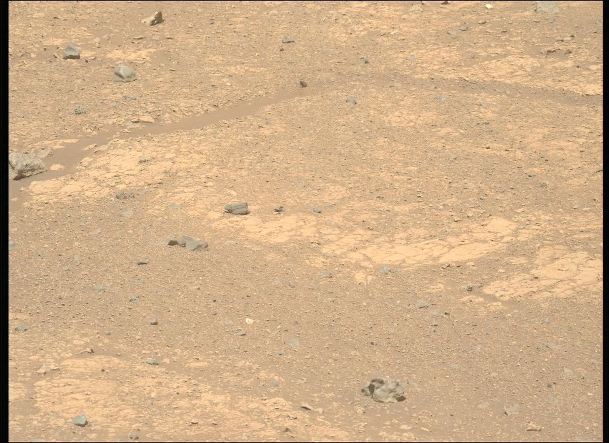This image was taken by MCZ_LEFT onboard NASA's Mars rover Perseverance on Sol 1539