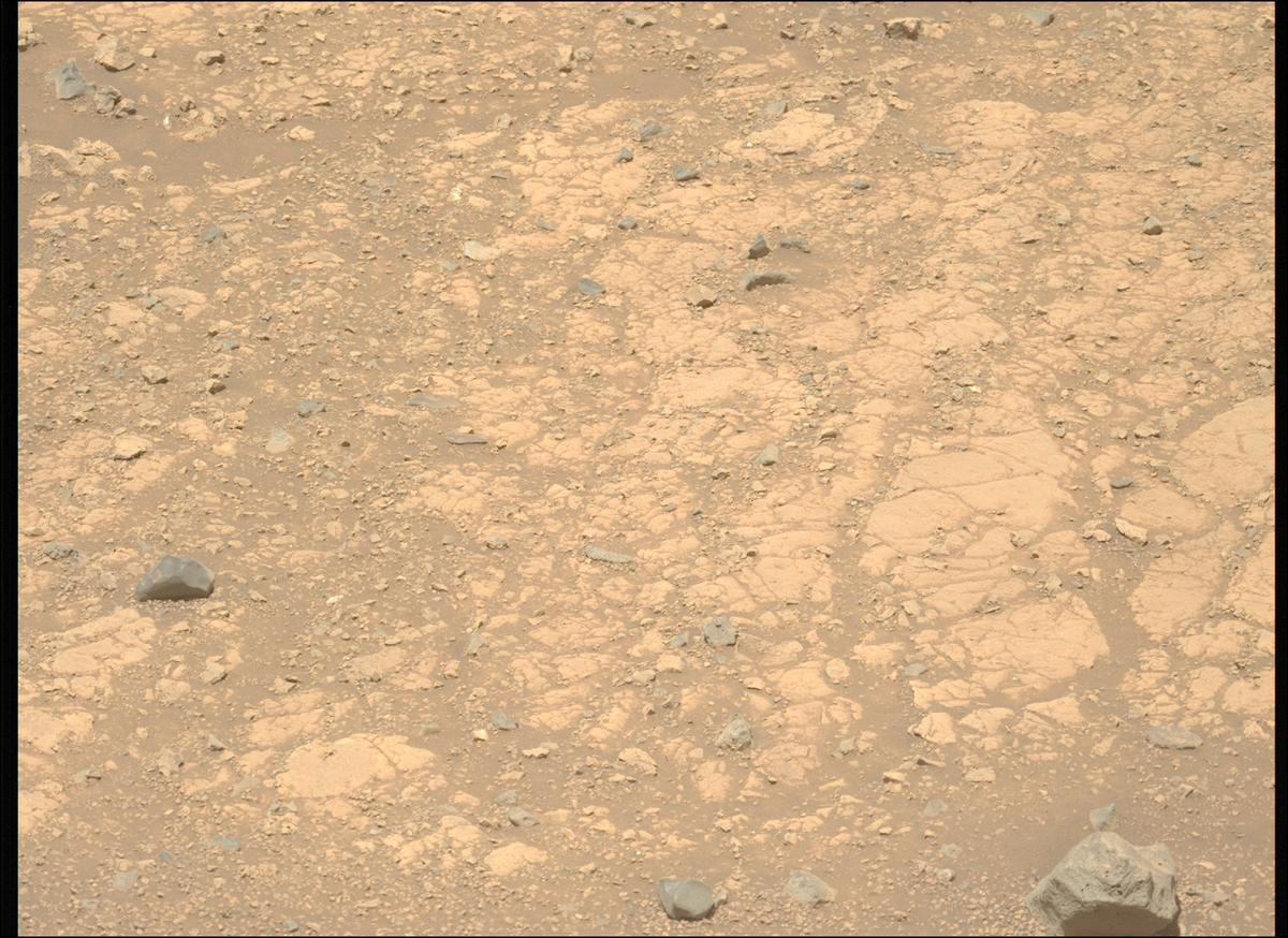 This image was taken by MCZ_LEFT onboard NASA's Mars rover Perseverance on Sol 1539