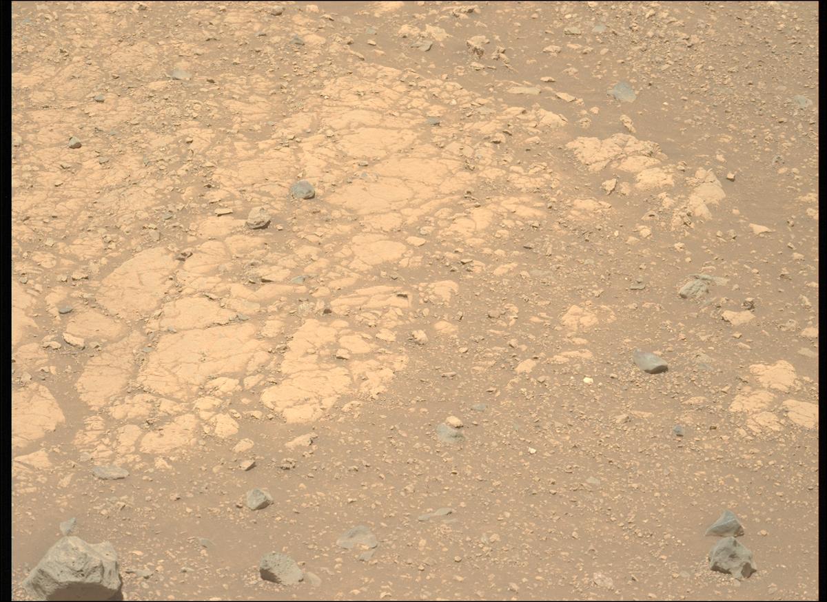 This image was taken by MCZ_LEFT onboard NASA's Mars rover Perseverance on Sol 1539