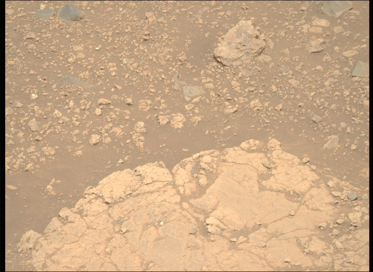 This image was taken by MCZ_RIGHT onboard NASA's Mars rover Perseverance on Sol 1539